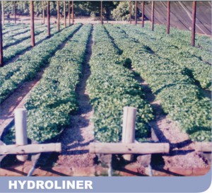 Hydroliner 2